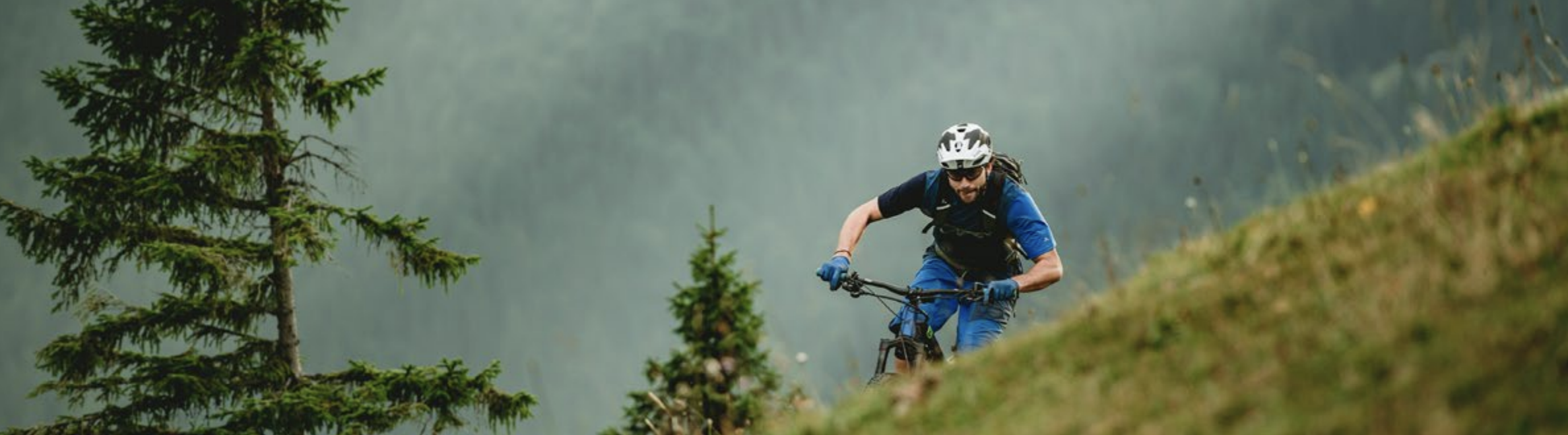 Haibike