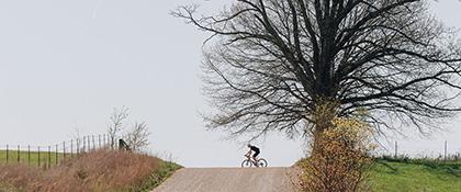 Gravelbike Sale: Auslaufmodelle bis -60% 