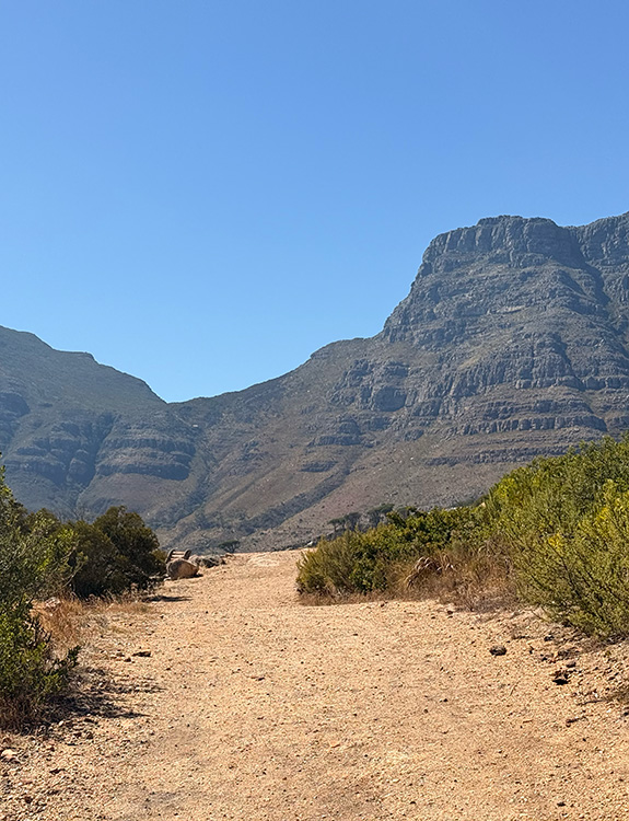 Trinkflaschen & Flaschenhalter