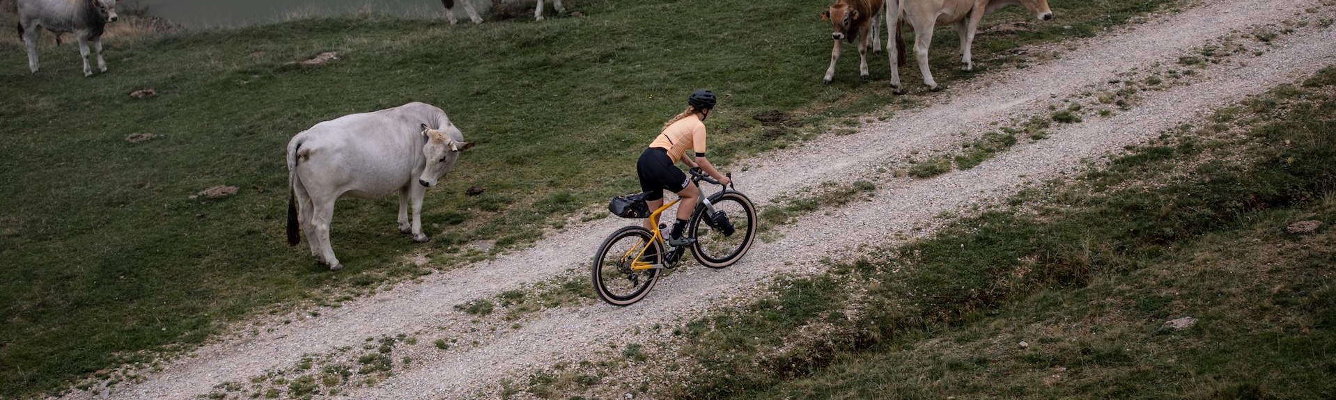 Ridley Kanzo Adventure – Gravelbike für Bikepacking und lange Touren