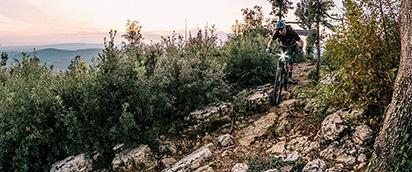 Merida Bikes – More Bike seit 1972