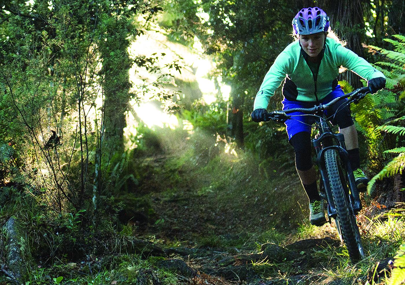 27.5" Hardtail Damen