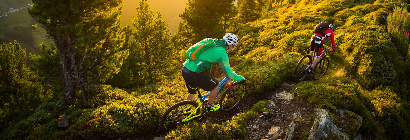 Focus Bikes